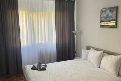 Apartament cu 2 camere semidecomandat, mobilat în Take Ionescu - 6