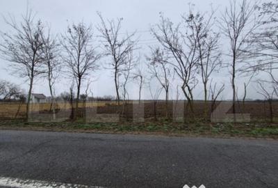 Teren de 2500 mp, în Sud - 5