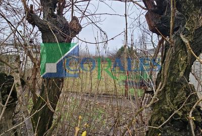 Langa noul stadion Arena Eroilor! - 1