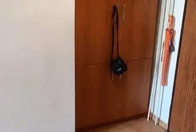Apartament de Vanzare Doamna Ghica Park-Ion Berindei - 12