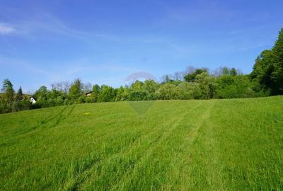 Teren 33,137mp Sighetu Marmatiei / Strada Mocanitei - 9