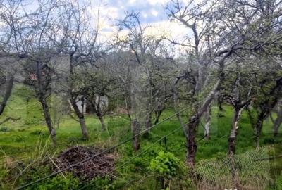 Teren în Voinești - 2