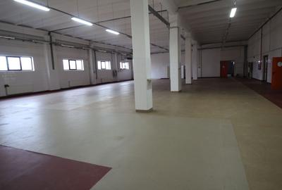 Hala productie    - Calea Torontalului de vanzare - 4
