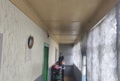 2 Case + 1600 mp Teren, zona centrala Balinesti, Siret - 10