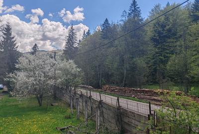 Spațiu comercial, de 1,000 mp, în Predeal - 9
