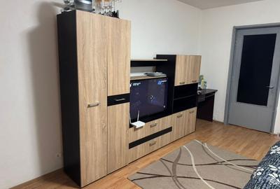 Garsonieră semidecomandată în Brazda lui Novac - 2