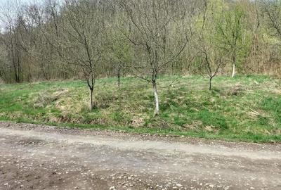 Teren de 14000 mp, în Gurahonț - 8