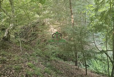 Teren extravilan cu potential turistic - Brezoi - 1