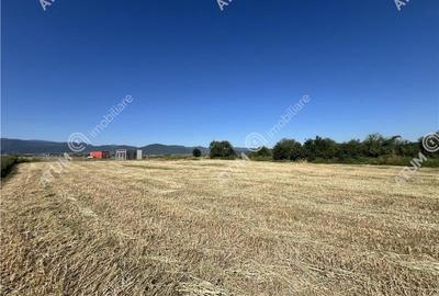 Teren extravilan de 10400 mp cu 2 deschideri in Cristian zona Serelor - 8