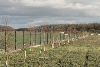 Tartasesti, Dambovita - 2