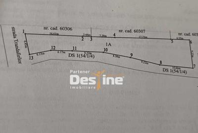 Teren + Proiect Locuinta de Vanzare – Strada Trandafirilor, Valea Lupului - 4