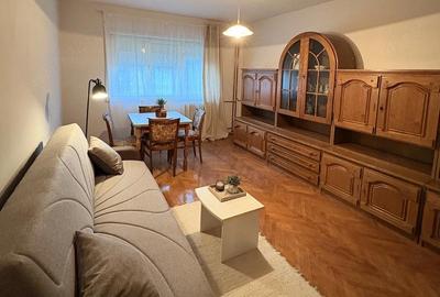 Apartament cu 2 camere decomandat în Lipovei - 5