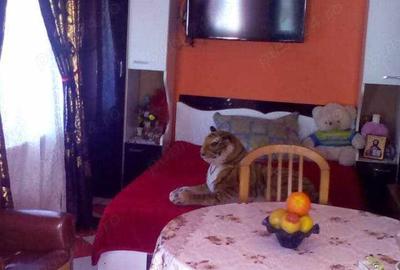 Casă cu 4 camere cu Teren 1000 Mp în Ciocănești - 1