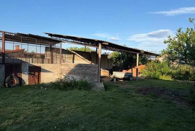 Casă cu 3 camere cu Teren 2000 Mp în Berzovia