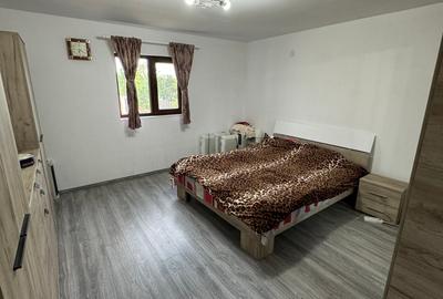 Vanzare Casa cu acces direct la padure in Valea Cucului, Comuna Iordacheanu - 3