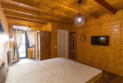 Casa de vacanta sau afacere la cheie in Loc. Nucsoara, jud. - 6