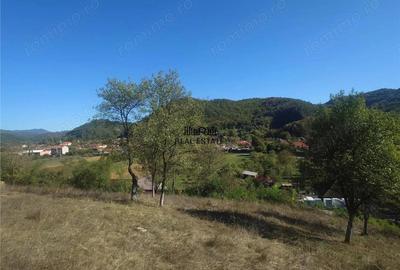 Teren de 1274 mp, în Criș - 8