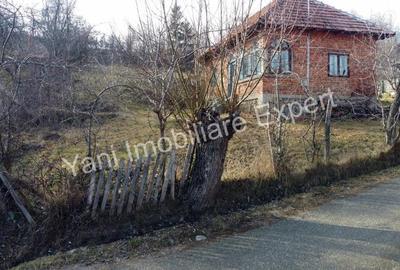 Teren de vanzare in comuna Cicane?ti, sat Cicane?ti, Jude? Arge?. - 17