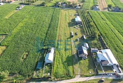 Teren intravilan de vanzare 4.300mp Buhu?i - 2