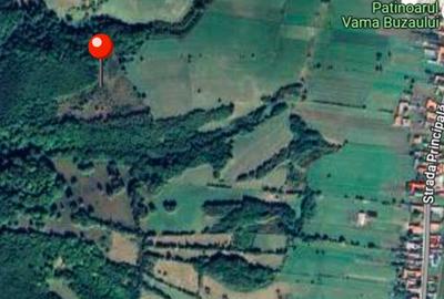 De vânzare teren extravilan în Vama Buzăului! - 2