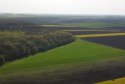 Teren Construcții intravilan de 5000 mp, în Moara Vlăsiei - 3