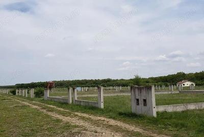 Teren intravilan de vanzare 32 parcele situate in comuna Gepiu, Bihor - 9