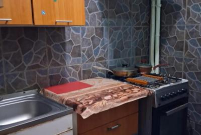 Garsonieră în Brazda lui Novac - 5