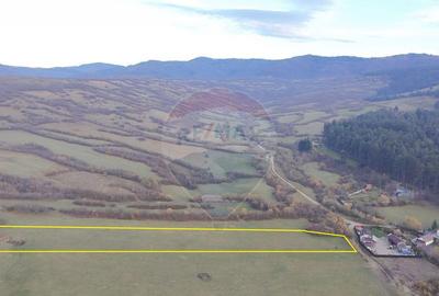 Teren 5.800 mp Purcareni curent, gaz, apa / Strada 30 de... - 2