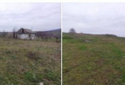 Teren de 4240 mp, în Tăutești - 8