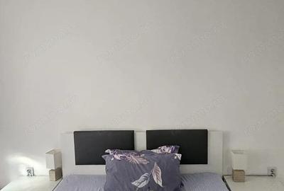 Calea Urseni | 2 Camere | Curte proprie | Pet friendly | Disponibil imediat - 4