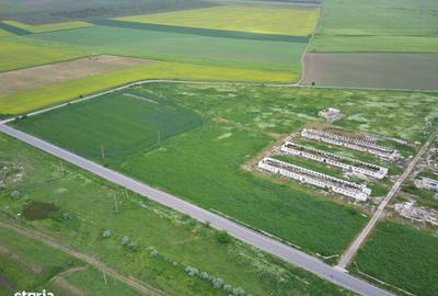 Teren de 106000 mp, în Poarta Albă - 3