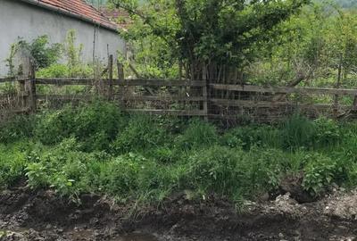Casă cu Teren 3300 Mp în Central