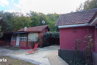Casă cu 4 camere cu Teren 705 Mp în Copăcel - 15