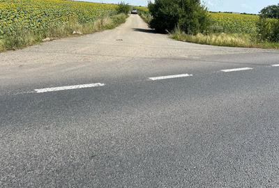 Teren de 30000 mp, în Dumbrăvița