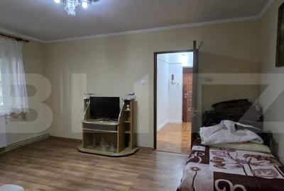 Apartament de vanzare, cu 2 camere, 46 mp, zona Careiului - 7