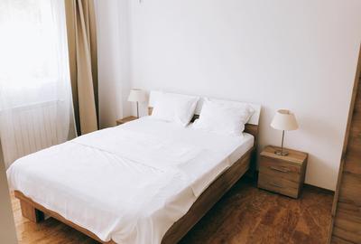 Apartament cu 2 camere semidecomandat, mobilat în Iancu Nicolae - 1