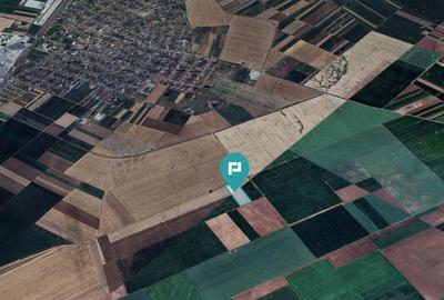 Teren arabil de 4,4Ha in ?imand - 2