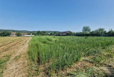 RECO teren intravilan in Fughiu 30 e / mp - 1