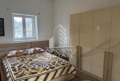 Casă individuală cu 5 camere cu Teren 3383 Mp în Remetea Mare - 1