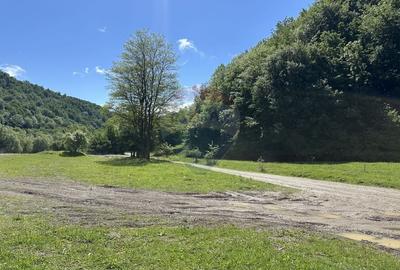 Teren Construcții intravilan de 1340 mp, în Cuejdiu - 1
