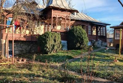 Vand casa la curte - 8