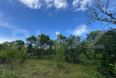 Teren de 6000 mp, în Central - 1