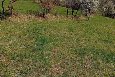 Teren de 2800 mp, în Ormindea - 3