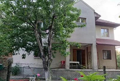 De vanzare, casa cu curte si gradina in Com. Viperesti, Jud. Buzau, la DN10 - 2