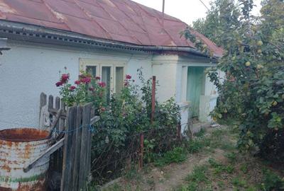 Casa batraneasca cu teren arabil si padure - 5