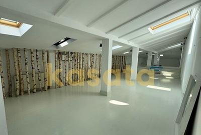 Inchiriere vila interbelica, Piata Victoriei, renovat?... - 3