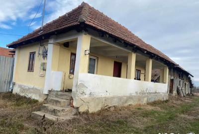 Casă cu 3 camere cu Teren 3300 Mp în Central