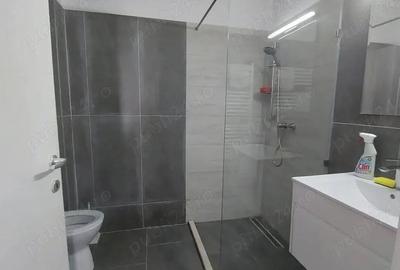 Apartament 2 Camere strada Piersicului, Fundeni, Dobroe?ti - 13