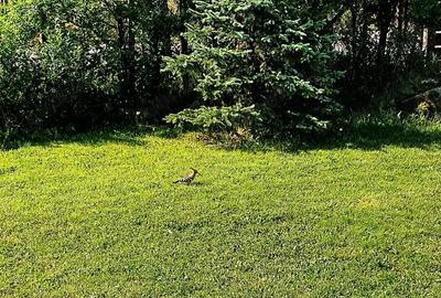 Casă cu Teren 1000 Mp în Central - 5