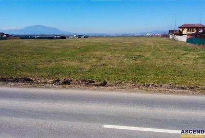 Teren intravilan 18.200mp, cu PUZ si PUD, ideal constructi case, Bod, Brasov. - 4